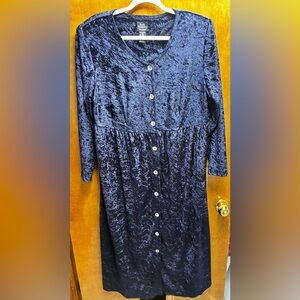 VTG Deep Blue Velvet Button Down Dress